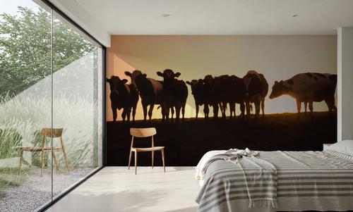 Sunset Pasture
