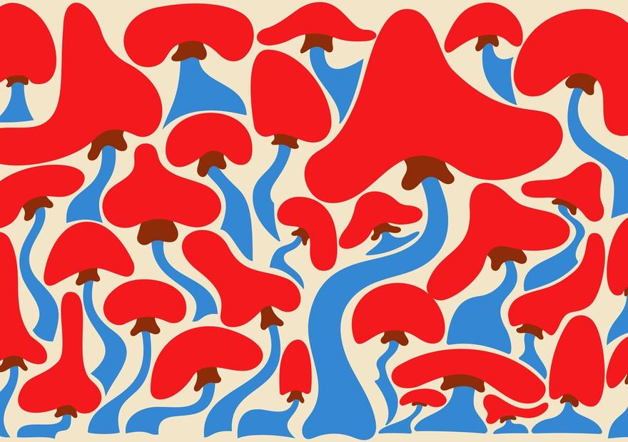 Groovy Mushrooms