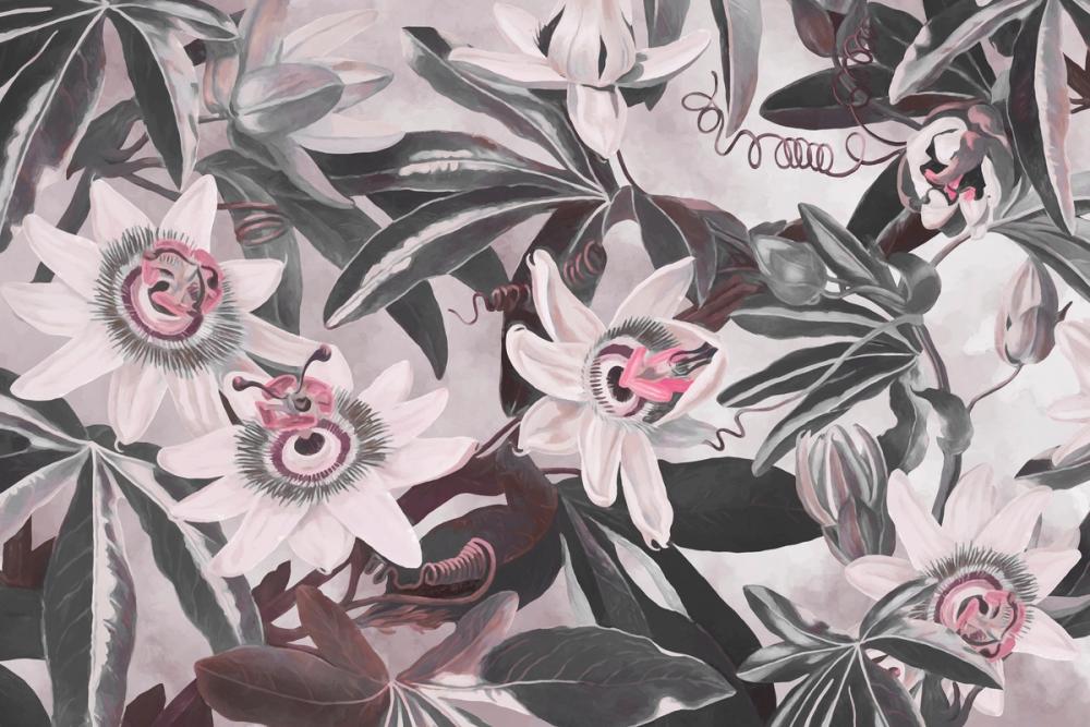 White Passiflora Light Red