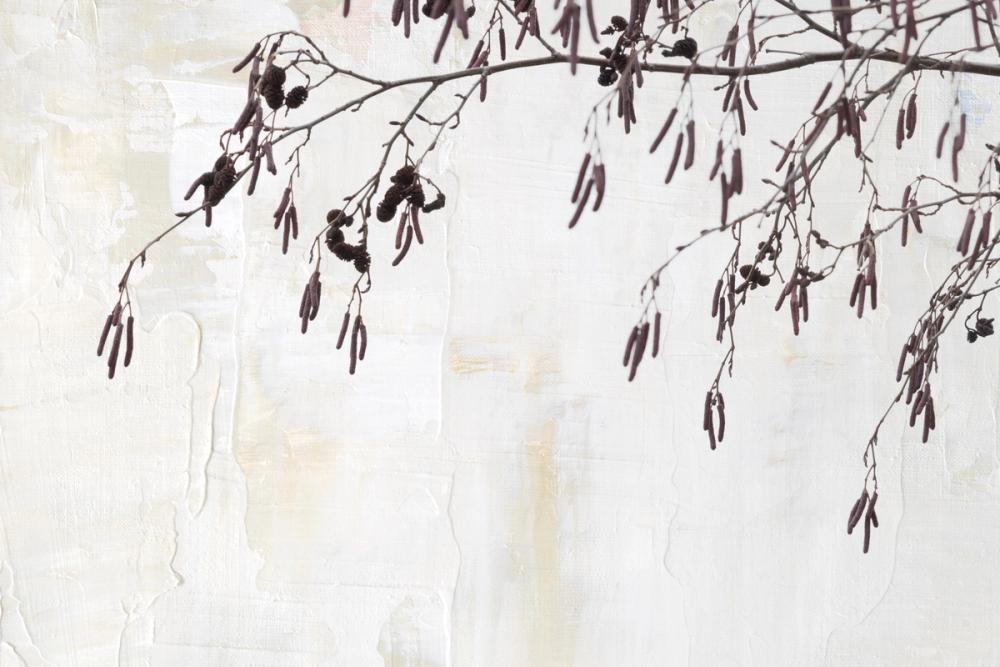 Catkins in Plaster II