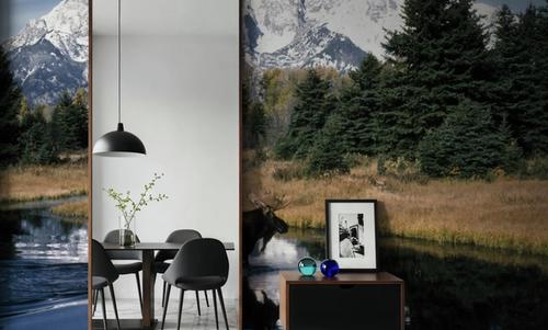 Mountain Moose Serenity