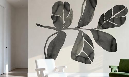 Fiddle Leaf IV Cream
