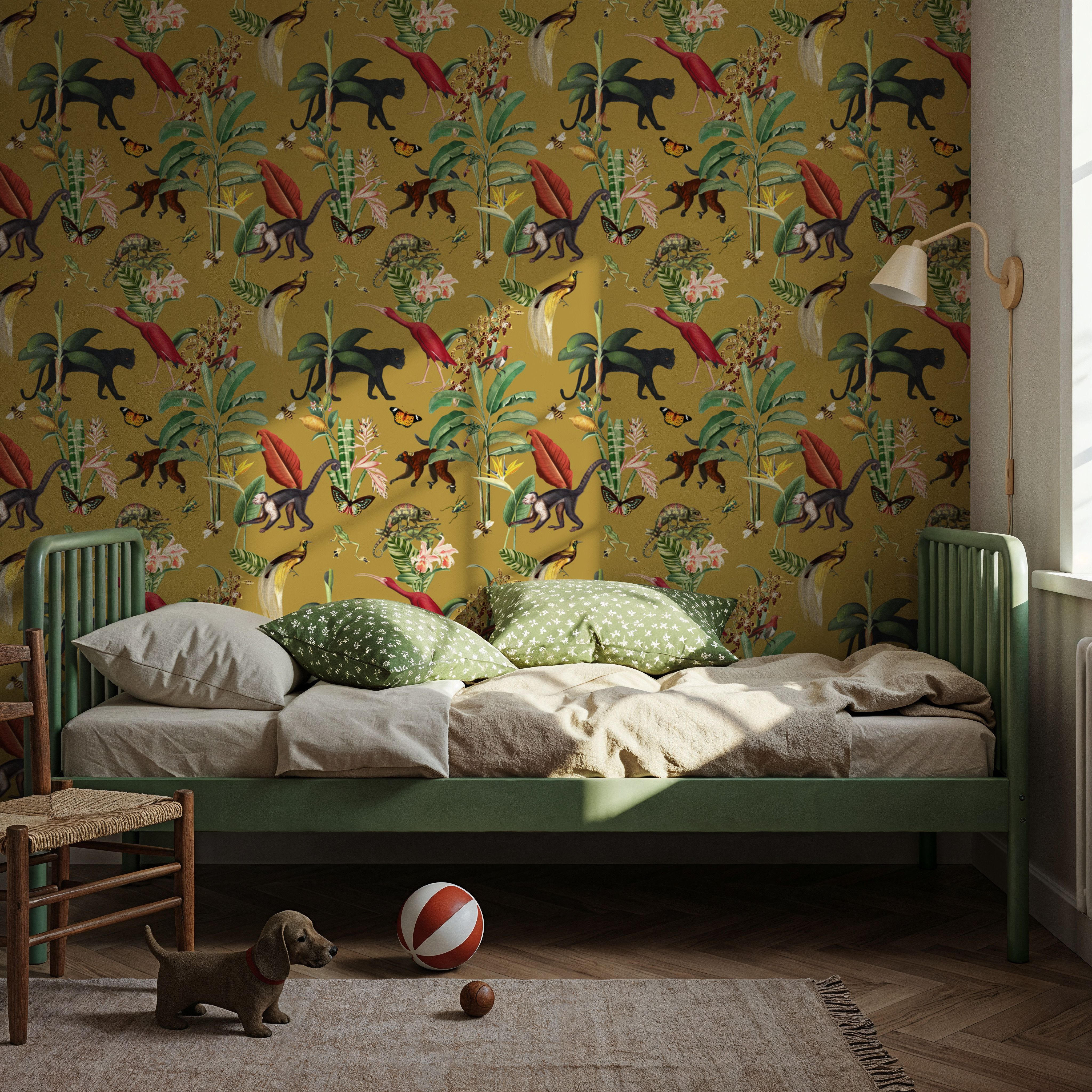 Kingdom Animalia Ochre