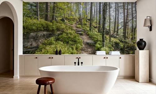 Saxon Trails