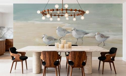 Tranquil Shorebirds on the Sand