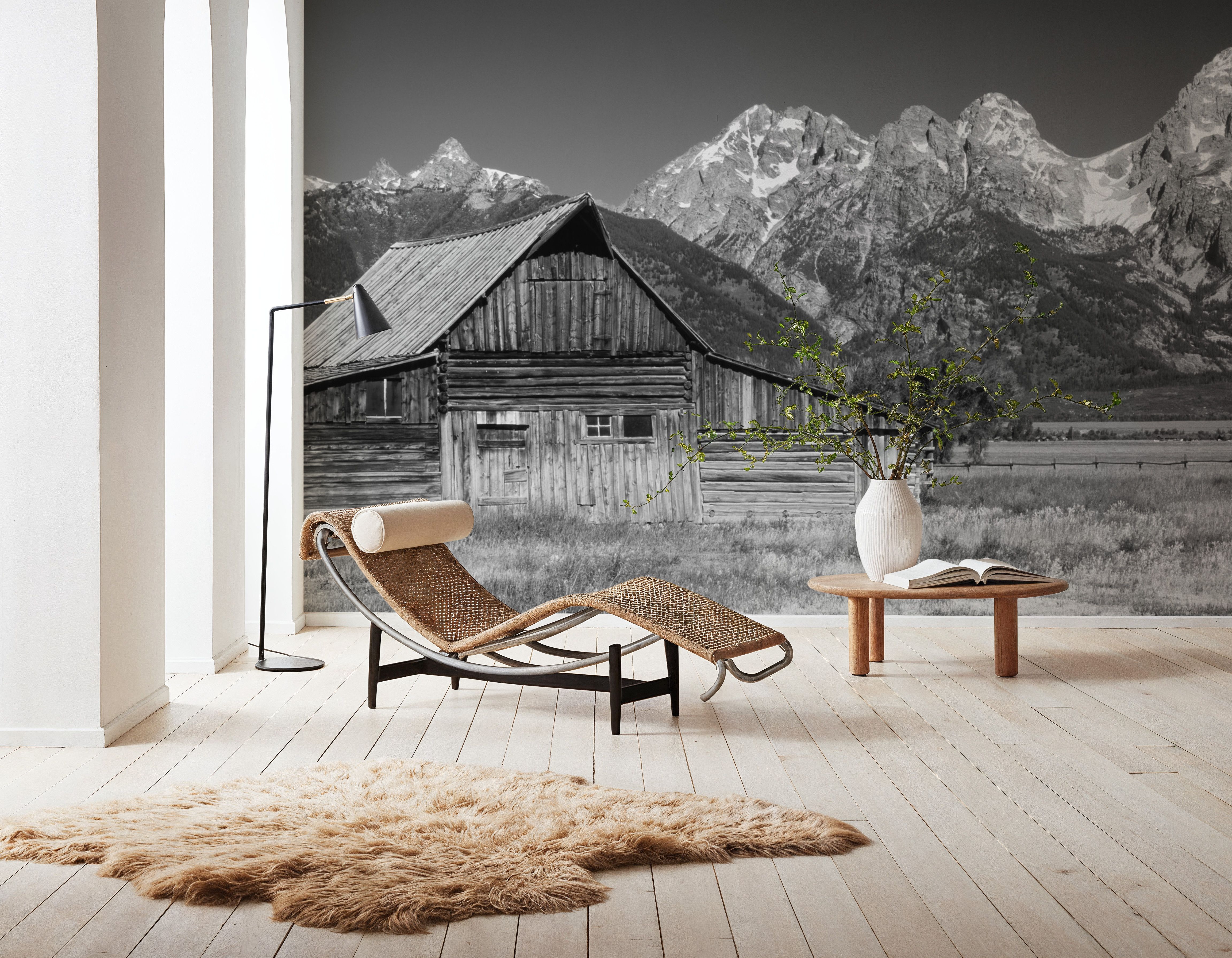Mountain Homestead Black & White