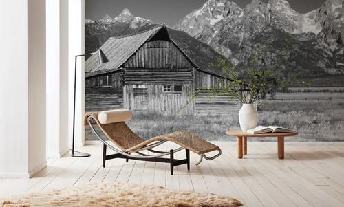 Mountain Homestead Black & White