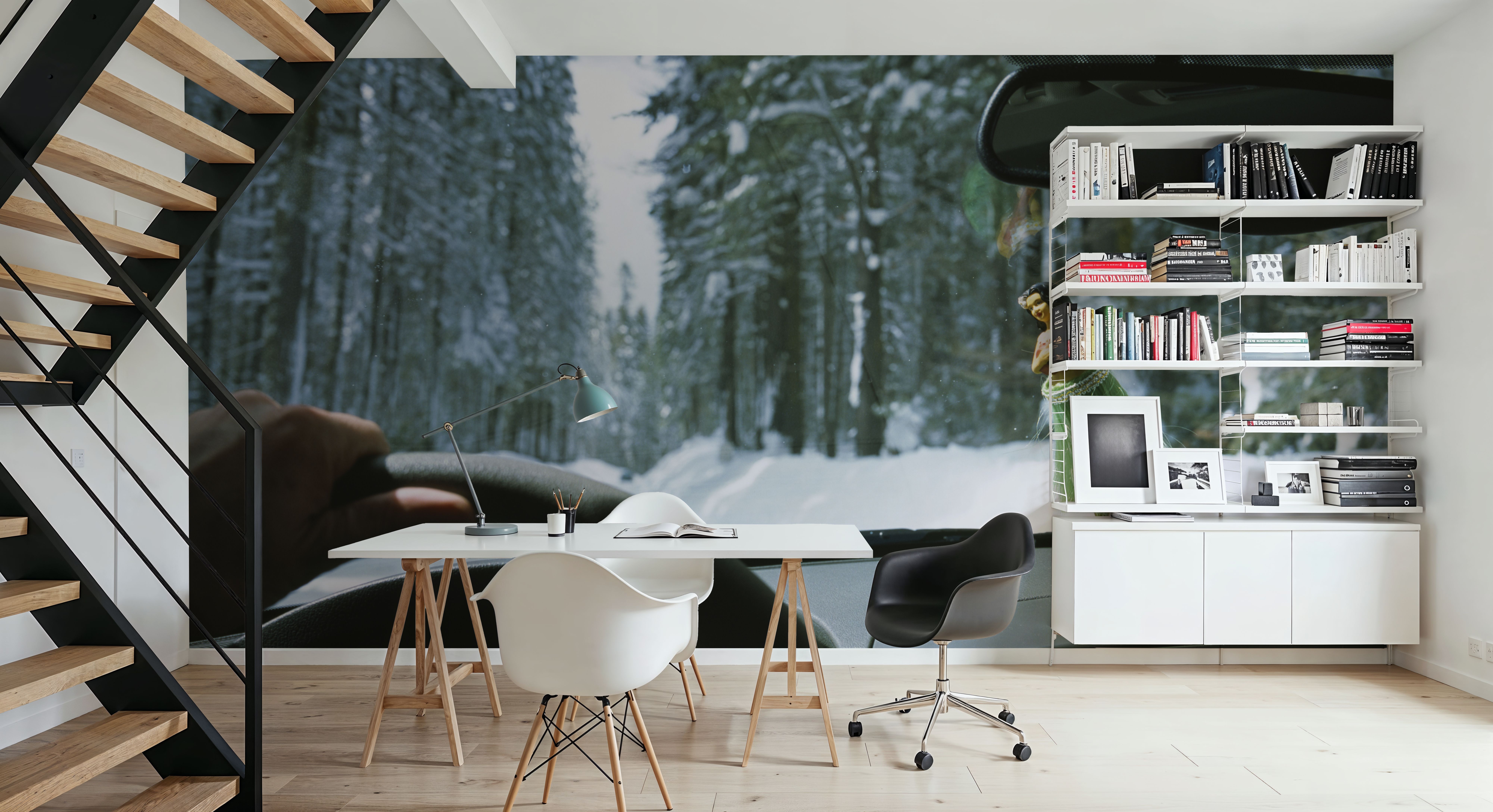 Winter Drive Companion