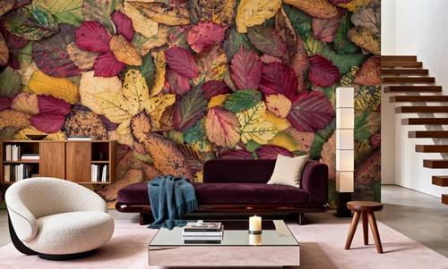 Fall Color Burst
