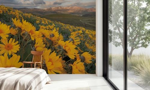 Methow Valley Wildflowers IV
