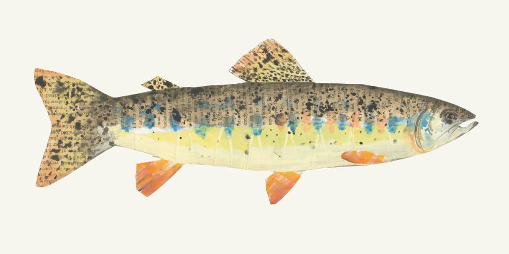 Angling in the Stream III