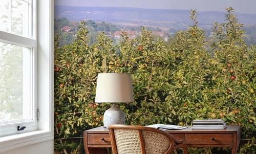 Abundant Orchard