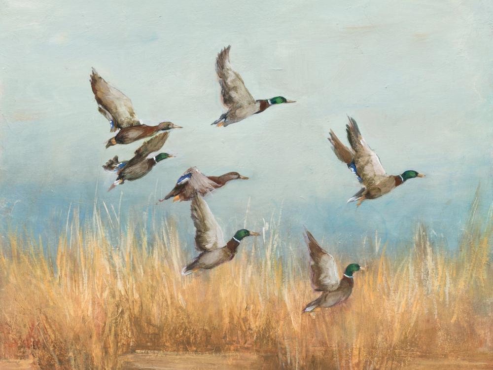 Autumn Flock