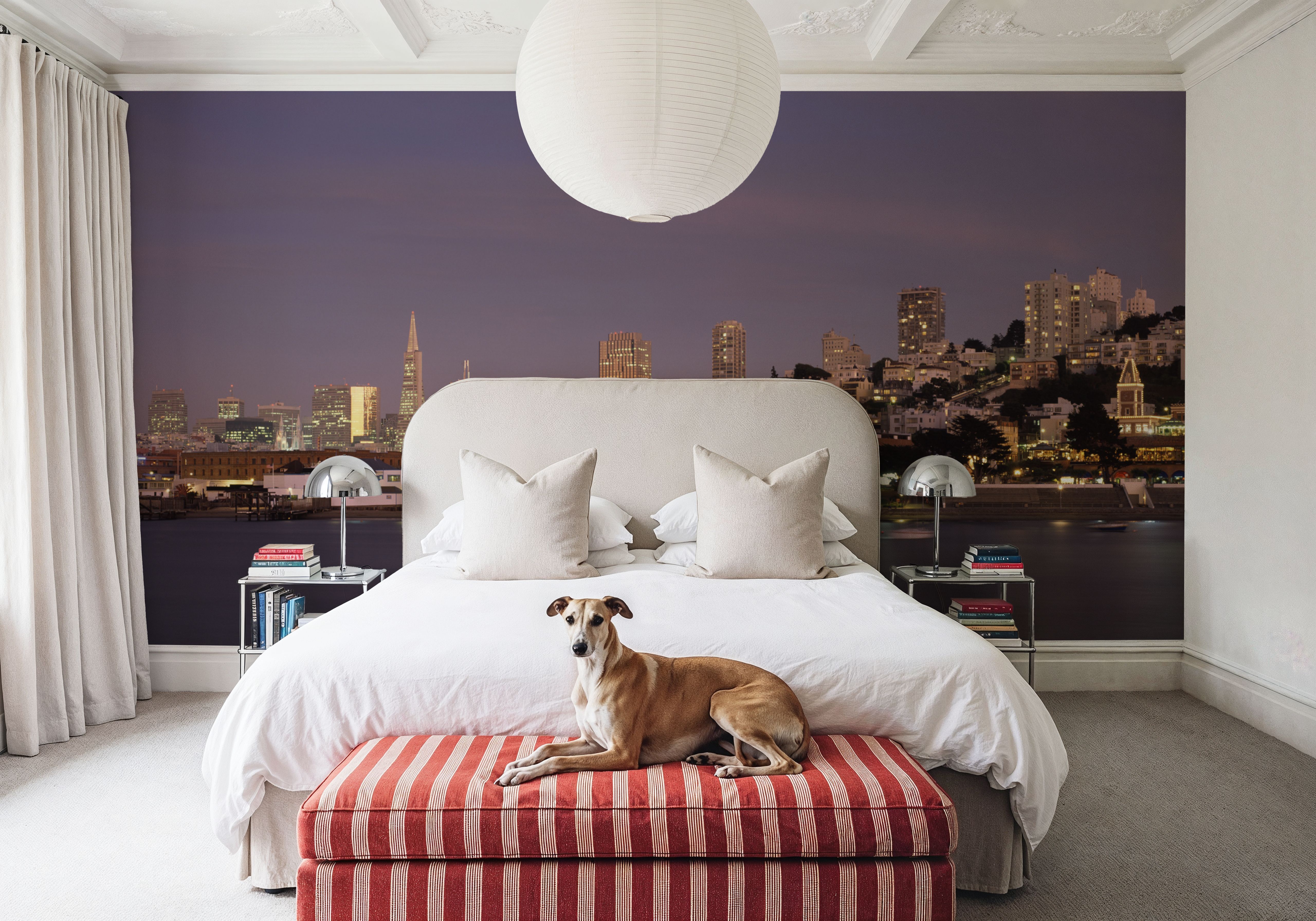 San Francisco Twilight