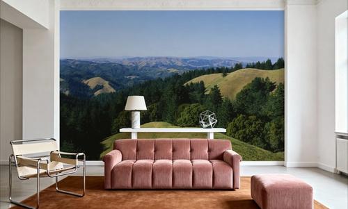 Emerald Hillside Vista