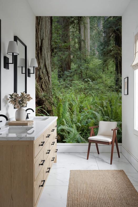 Ancient Fern Forest