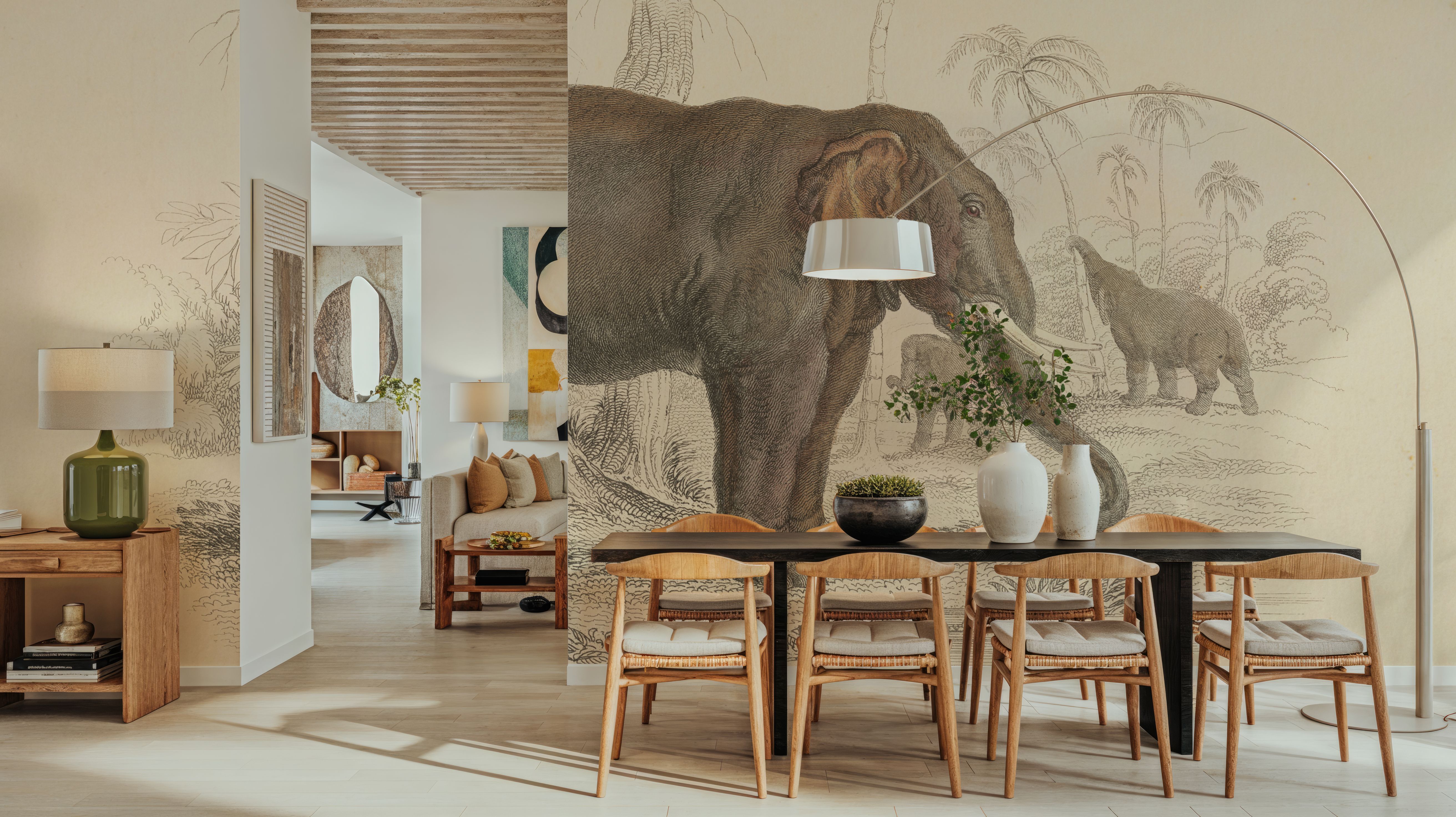 Animals of Africa III