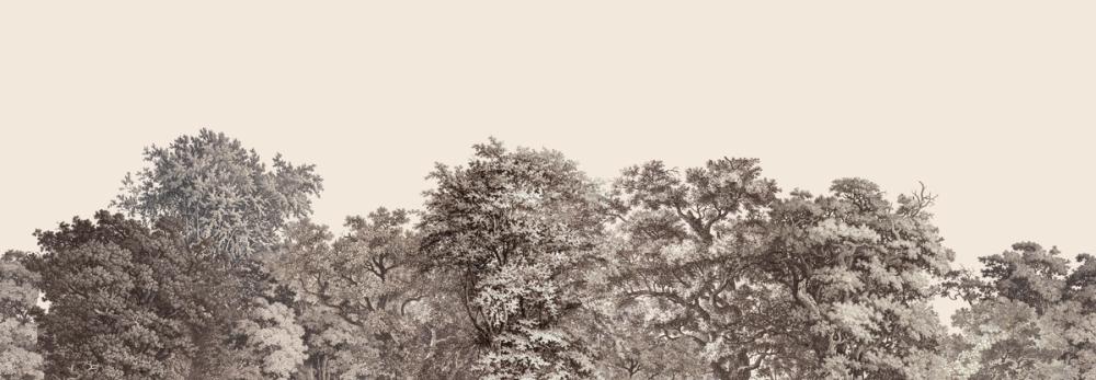 Over the Treetops, Alabaster