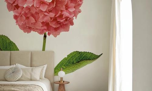 Providence Hydrangea I