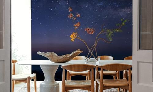 Starfield Horizon