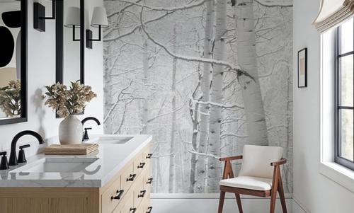 Frost-Kissed Birches