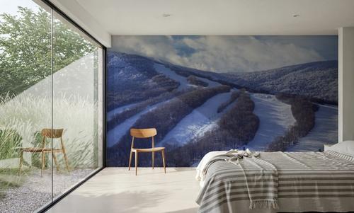 Alpine Descent