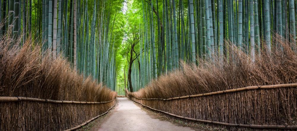 Arashiyama