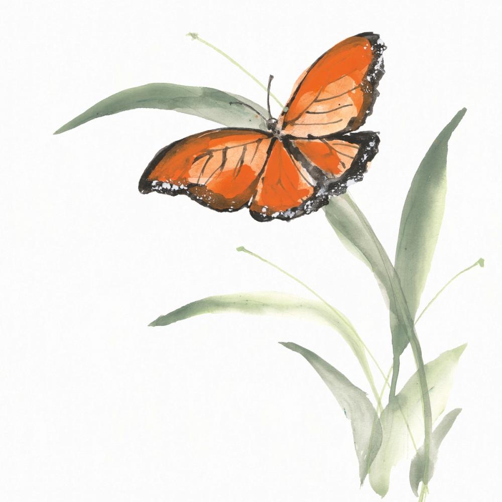 Butterfly Orange I