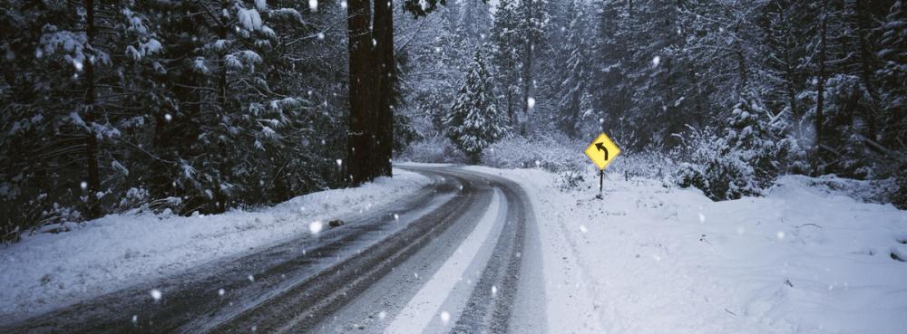 Winter Forest Journey