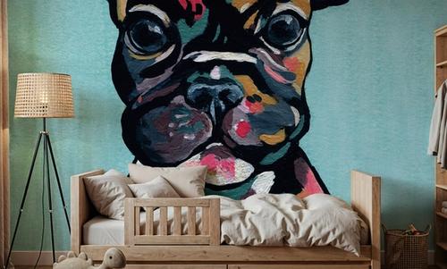 Stanley the French Bulldog