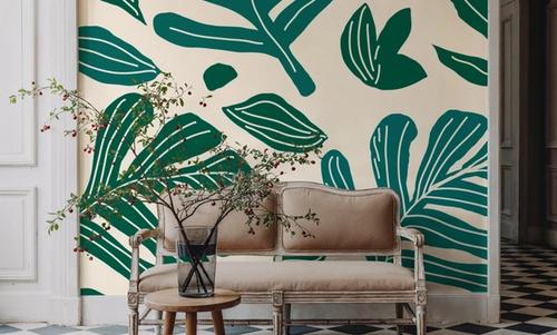 Monstera Cuttings, Green