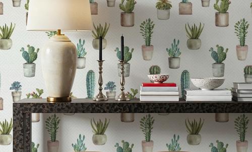Mixed Cacti White