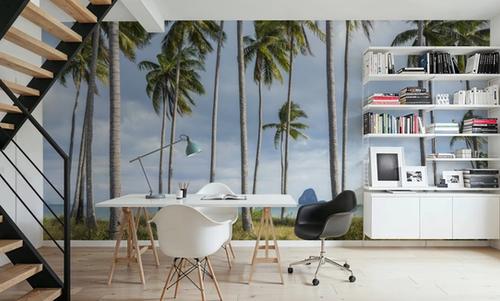 Coastal Palms