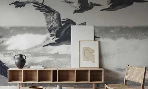 Pelican Beach