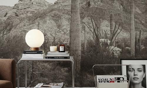 Desert Mornings