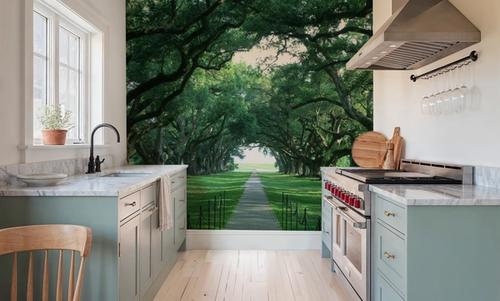 Ancient Oak Avenue