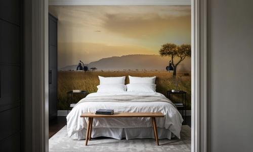 Acacia Sunset