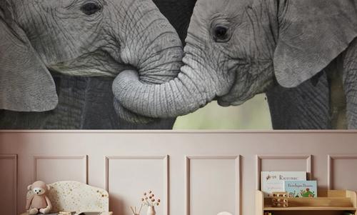 Elephant Greetings Photo