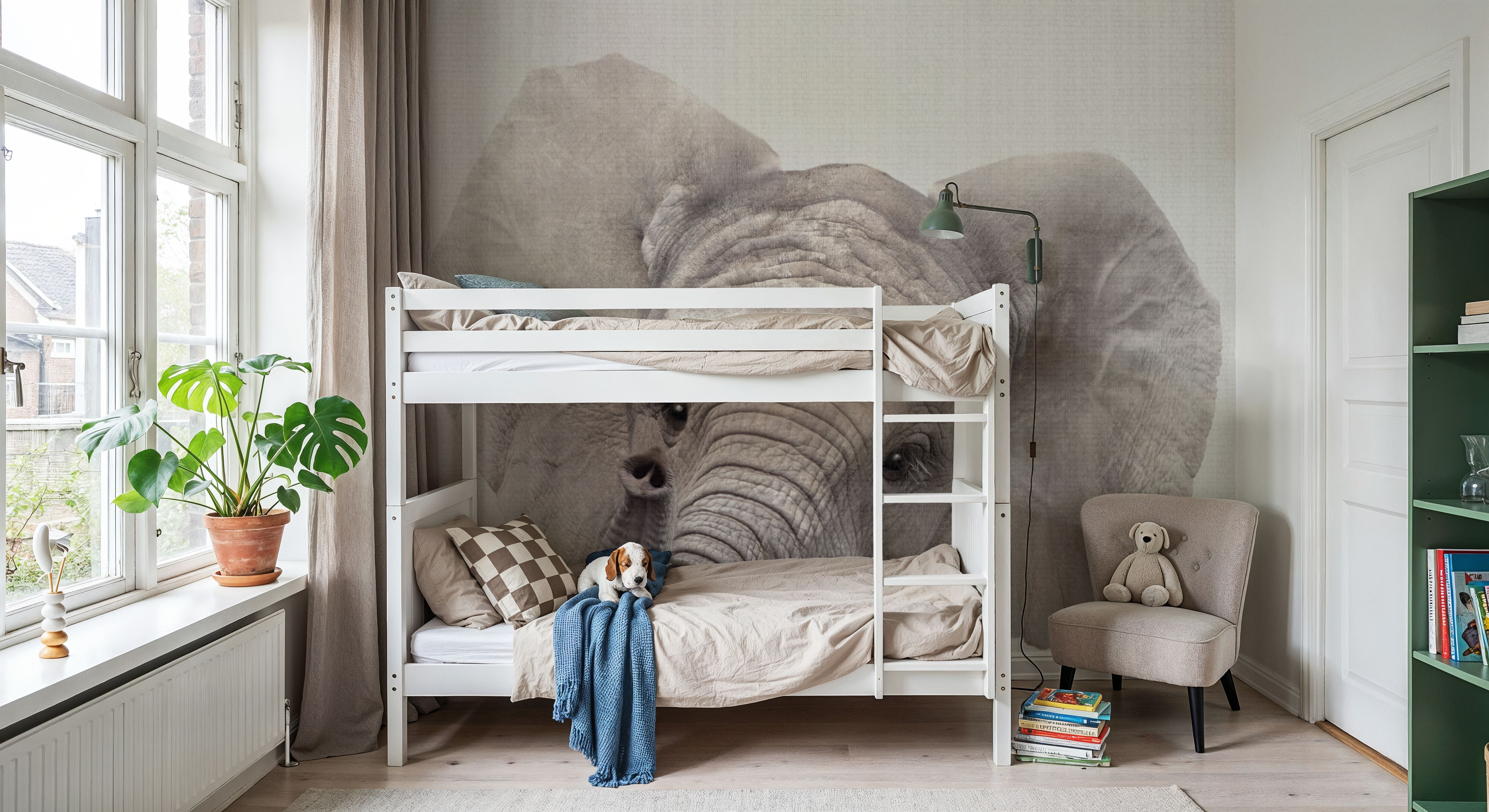 Peekaboo Baby Elephant