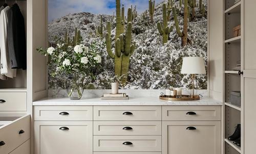 Snowy Desert Cactai