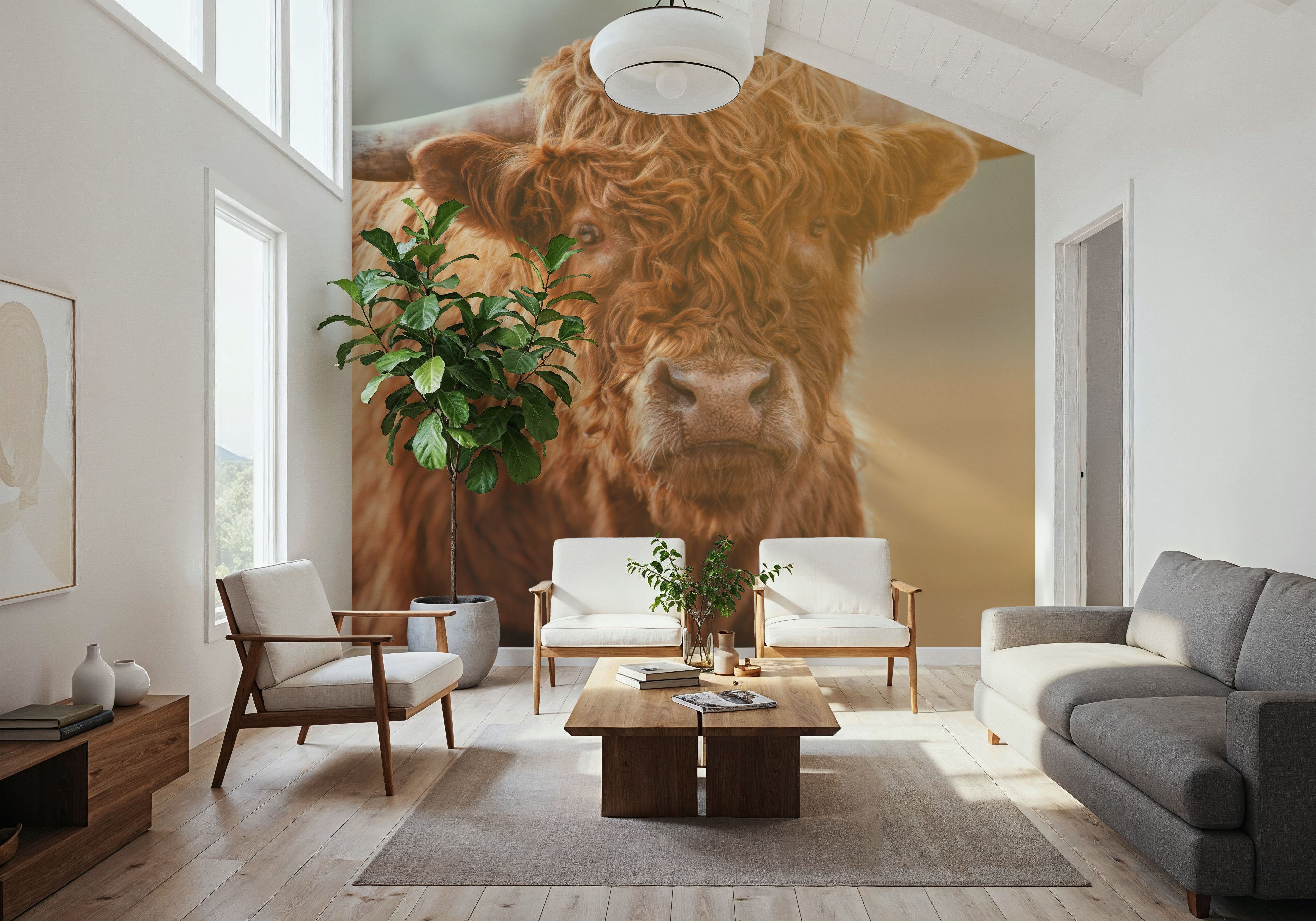 Highland Cow Pastures II