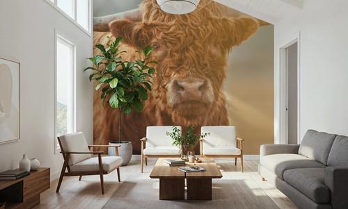 Highland Cow Pastures II