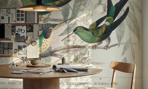 Hummingbird Study
