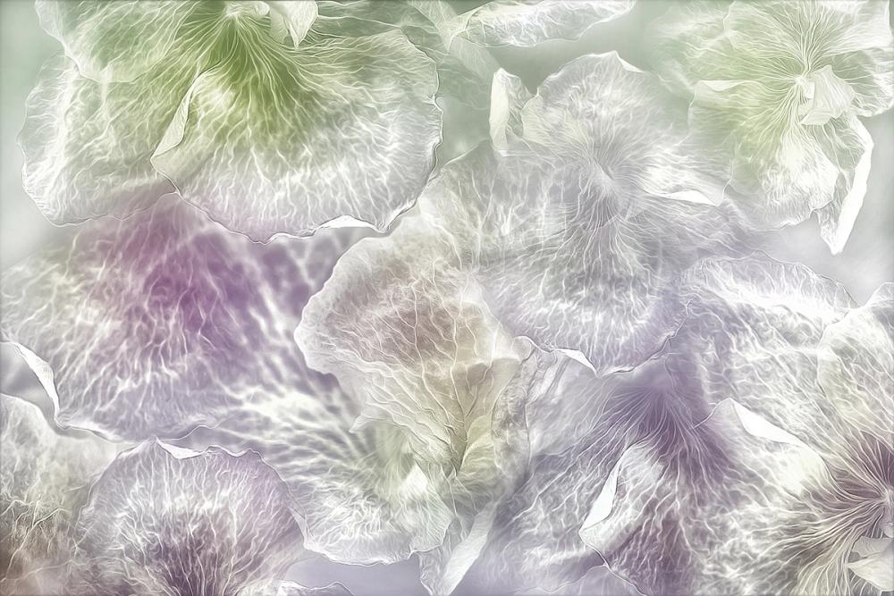 Dancing in the Light