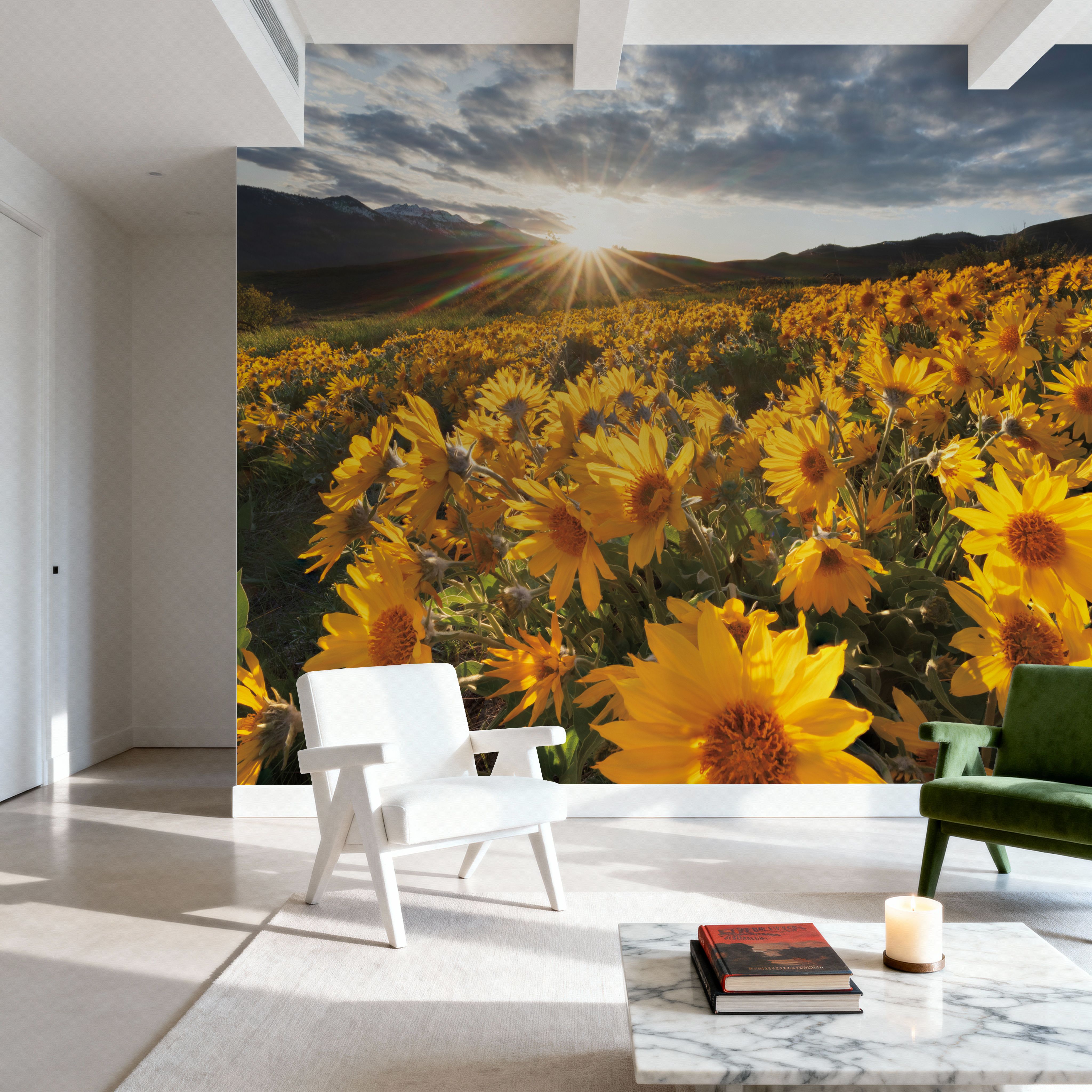 Methow Valley Wildflowers III