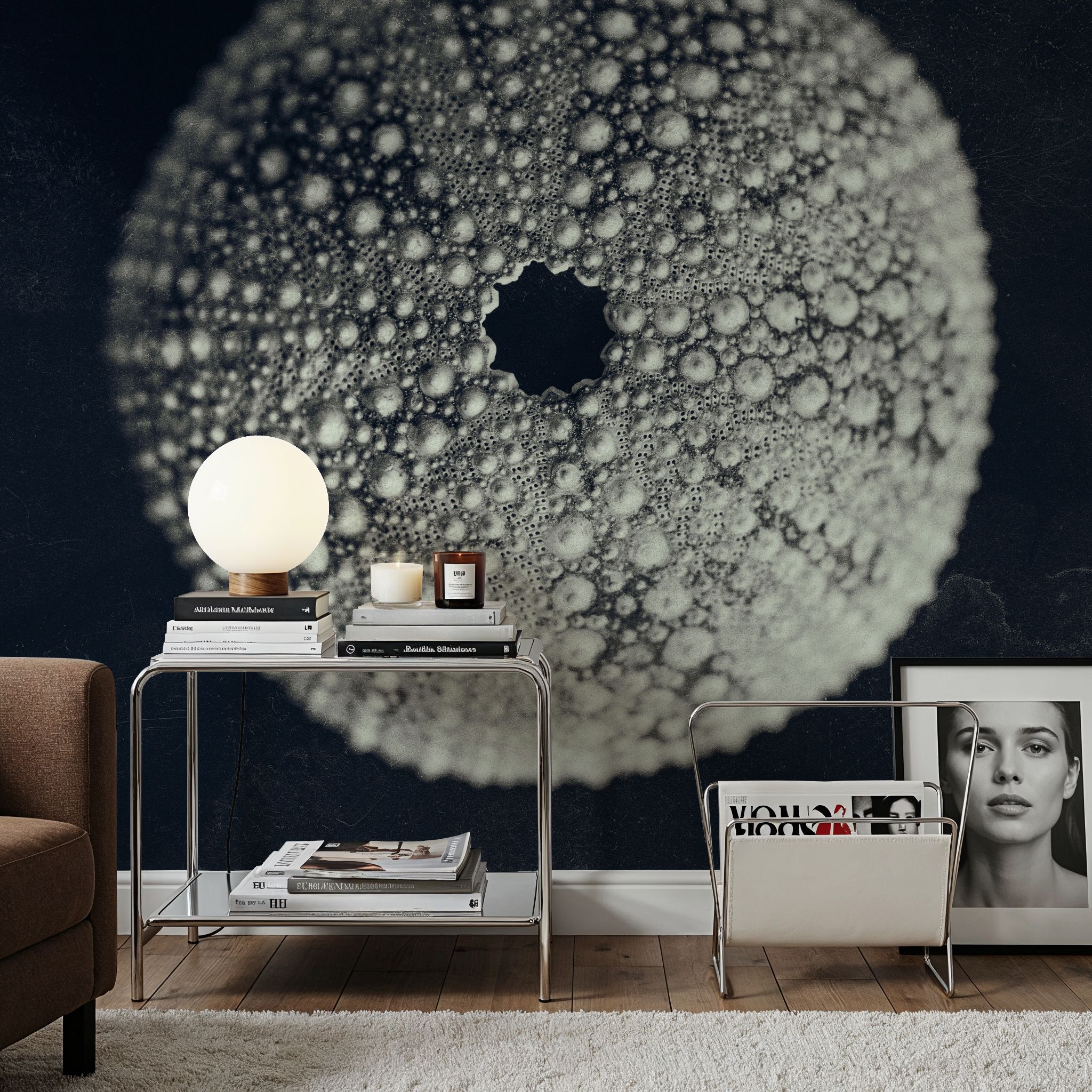 Urchin Still Life I