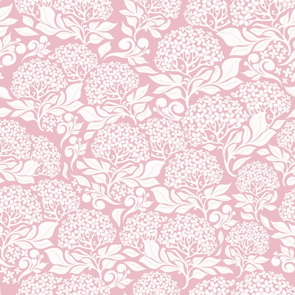 Hydrangea, Blush Pink