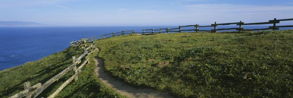 Coastal Wildflower Path