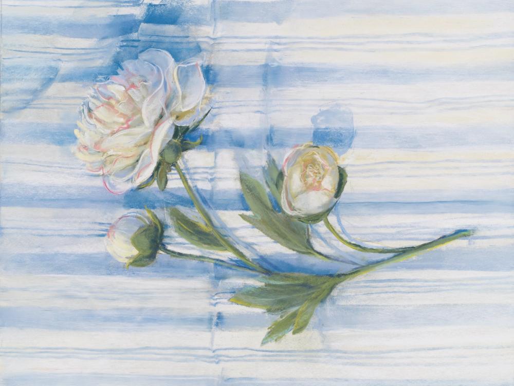 Peony on Blue Stripe