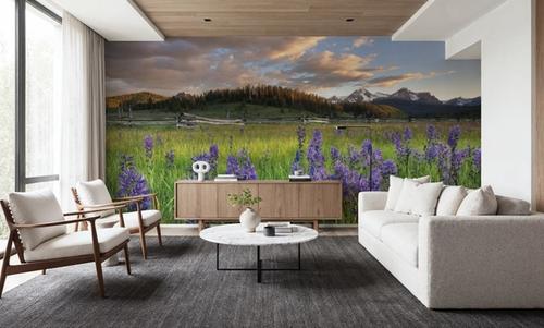 Camas Meadows in Idaho